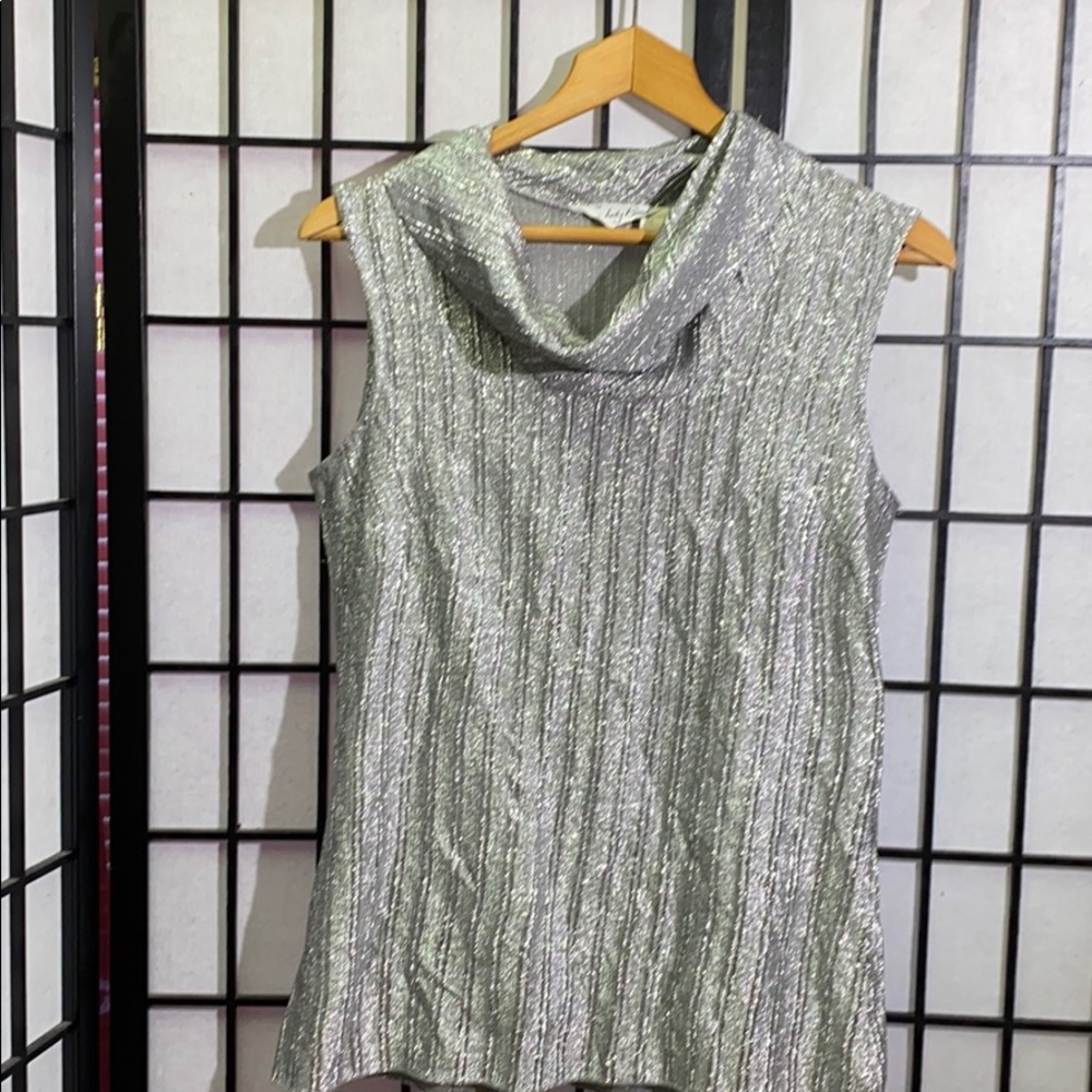 Judy Bond Metallic Sleeveless Size 12